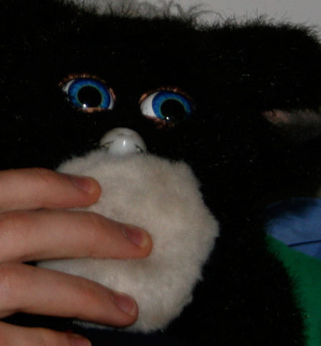 Archive Furby Image