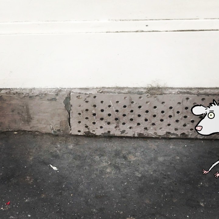 Just a quick hello to show rigging all finished on Franklin the rat – he’s a character animator puppet with lip sync, lots of angles and walk animations. #animation #characteranimator