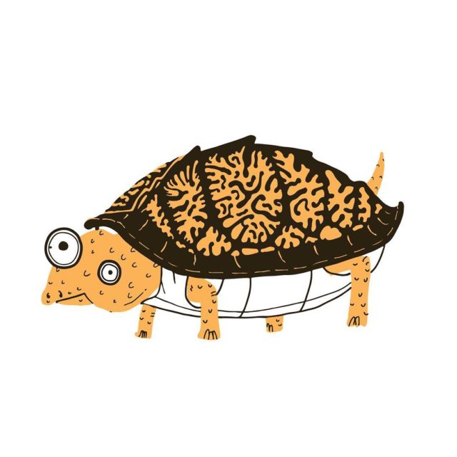 A 2-color eastern box turtle destined for some glasswear. #turtle #illustration #easternboxturtle #2color #critterart