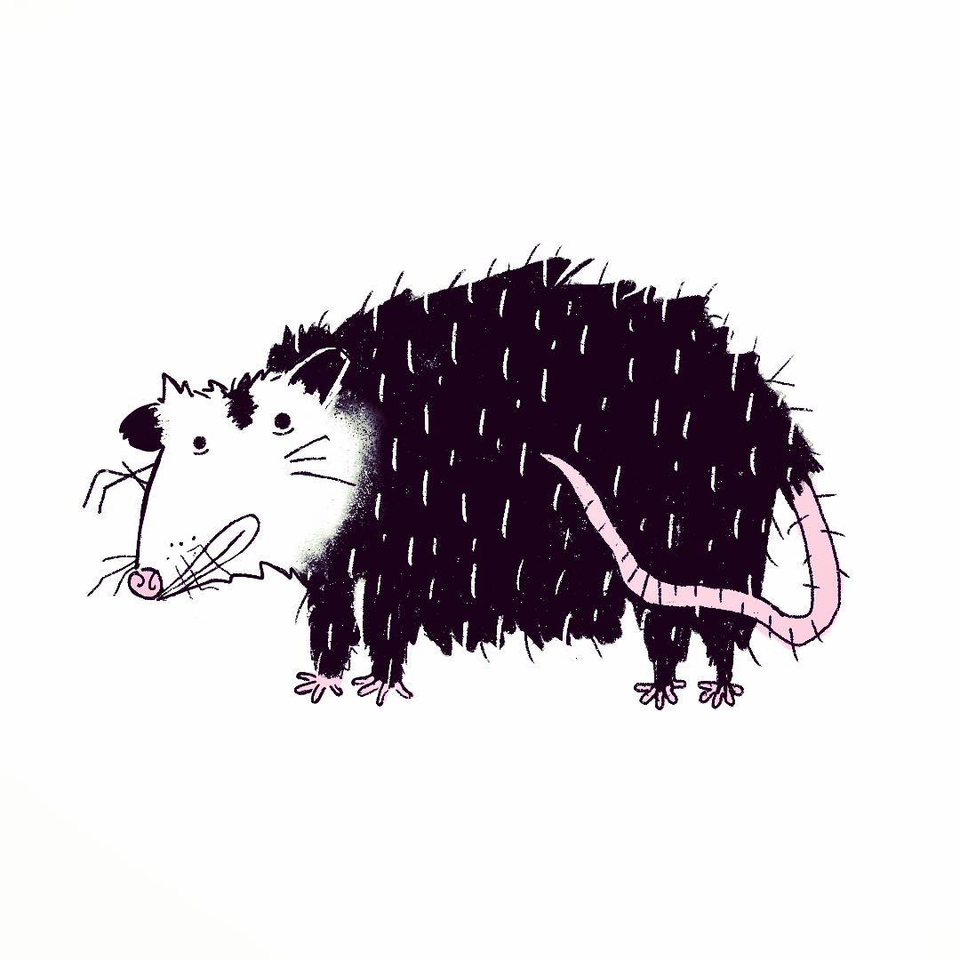 More glasswear designs! #2color #opossum #illustration #virginiapossum #critters