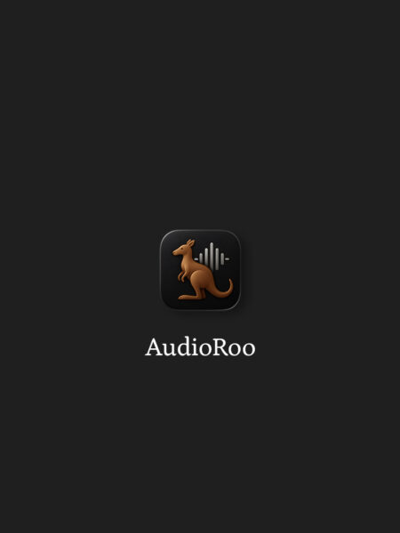 AudioRoo Icon Slate